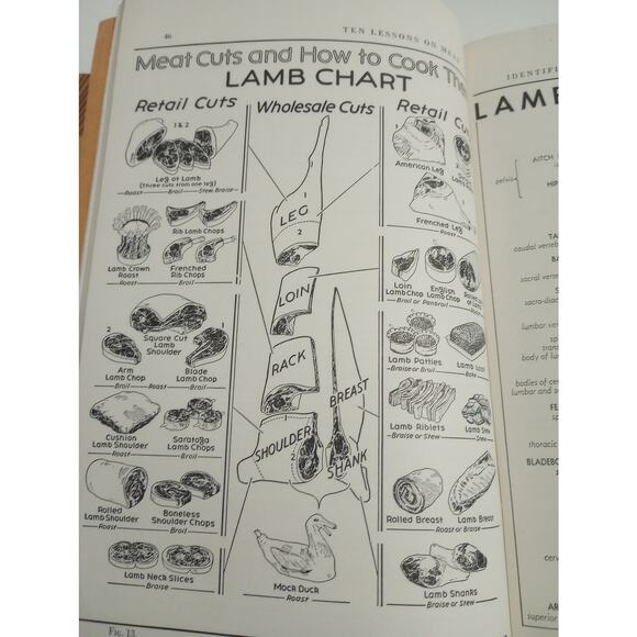 Vtg Ten Lessons On Meat For Schools 5th Edition National Live Stock & Meat Board - Picture 5 of 10